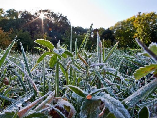 Nach den frostigen Temperaturen kommt die Sonne wieder durch. Nach den frostigen Temperaturen kommt die Sonne wieder durch.