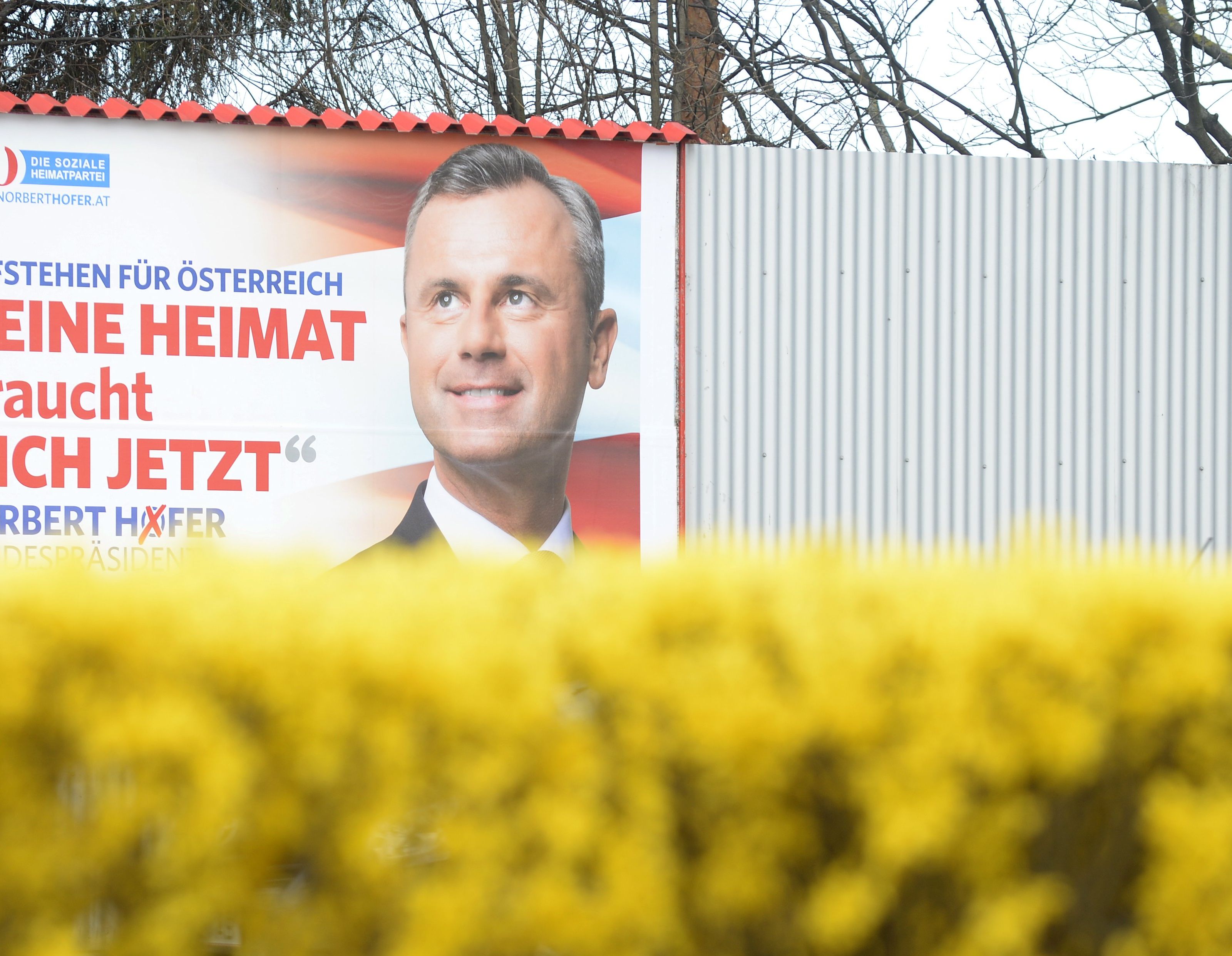 Die FPÖ gab für den Präsidentschaftswahlkampf von Norbert Hofer 3,4 Millionen Euro aus.