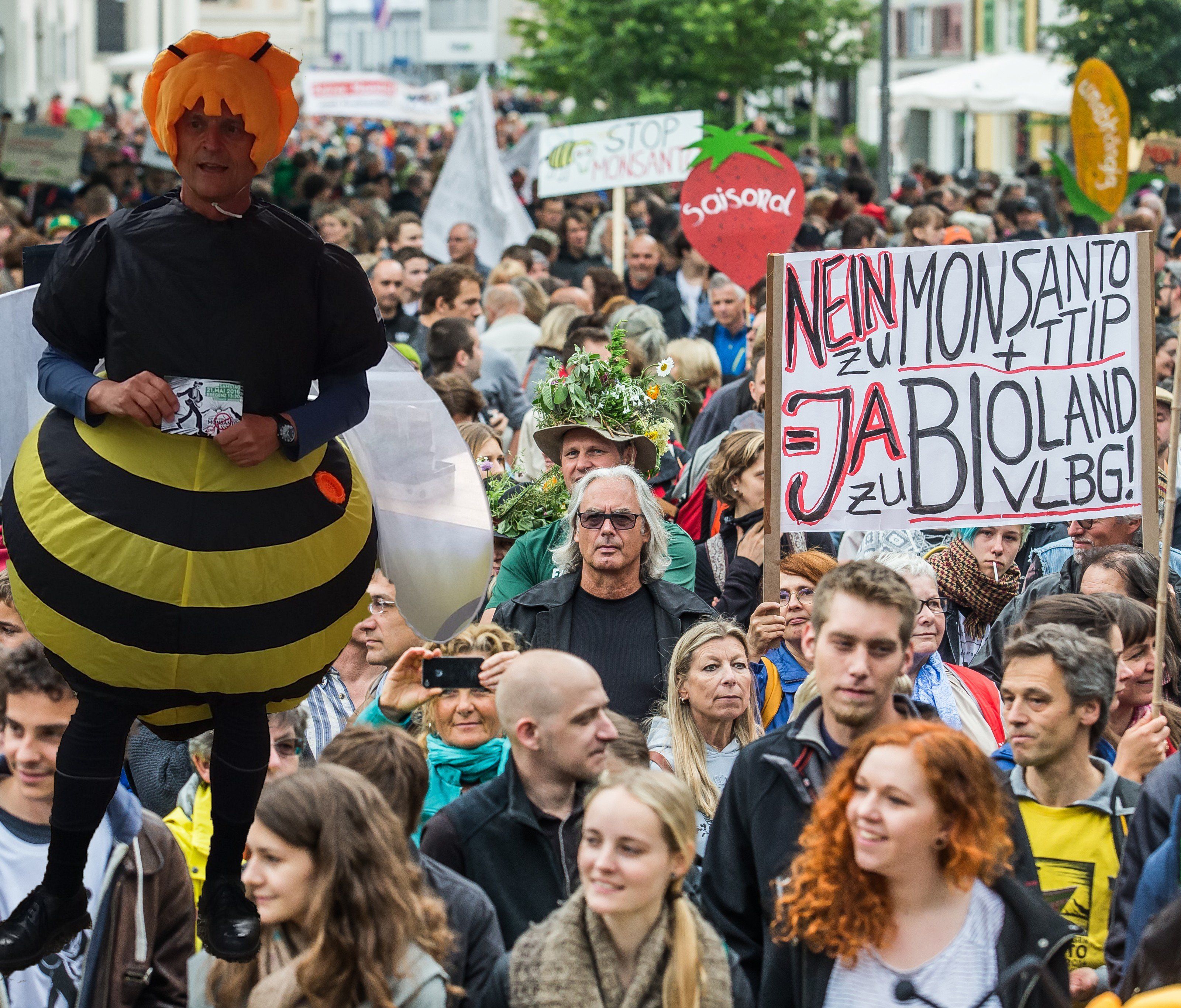 In Bregenz wird heute, Samstag gegen TTIP und Monsanto demonstriert. In Bregenz wird heute, Samstag gegen TTIP und Monsanto demonstriert.