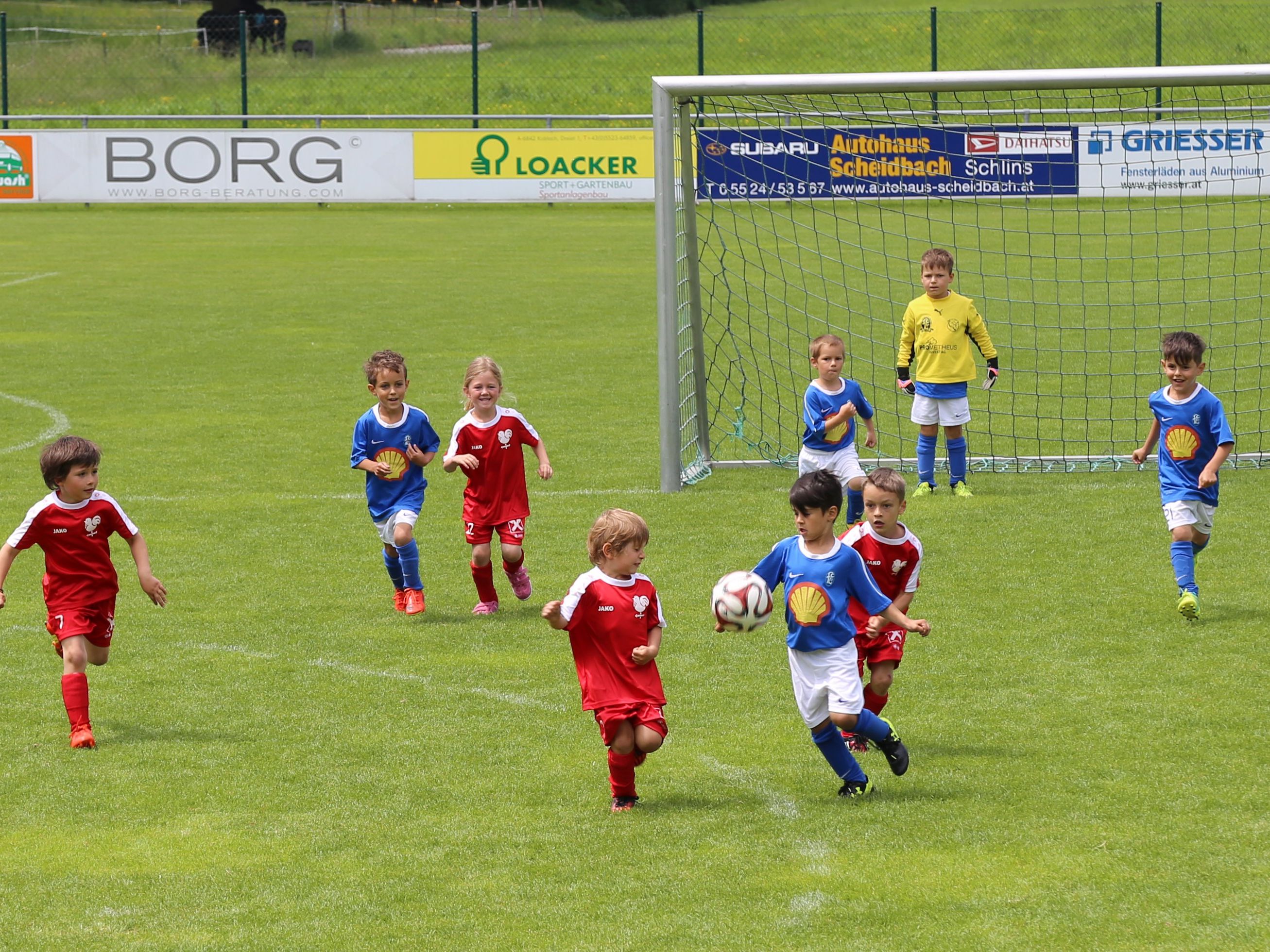 Die kleinen Fußballstars dribbelten, passten und schossen zahlreiche Tore. Die kleinen Fußballstars dribbelten, passten und schossen zahlreiche Tore.