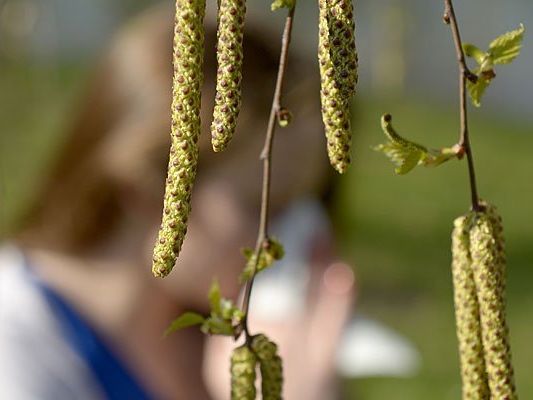 Die Pollen liegen weiter in der Luft.