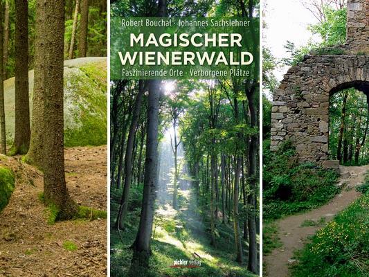Der Wienerwald hat sein mystisch-romantisches Image nicht umsonst.