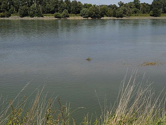 Das sommerliche Wochenende forderte mehrere Badeopfer in NÖ. Das sommerliche Wochenende forderte mehrere Badeopfer in NÖ.