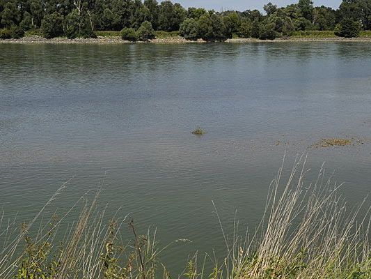 Das sommerliche Wochenende forderte mehrere Badeopfer in NÖ.