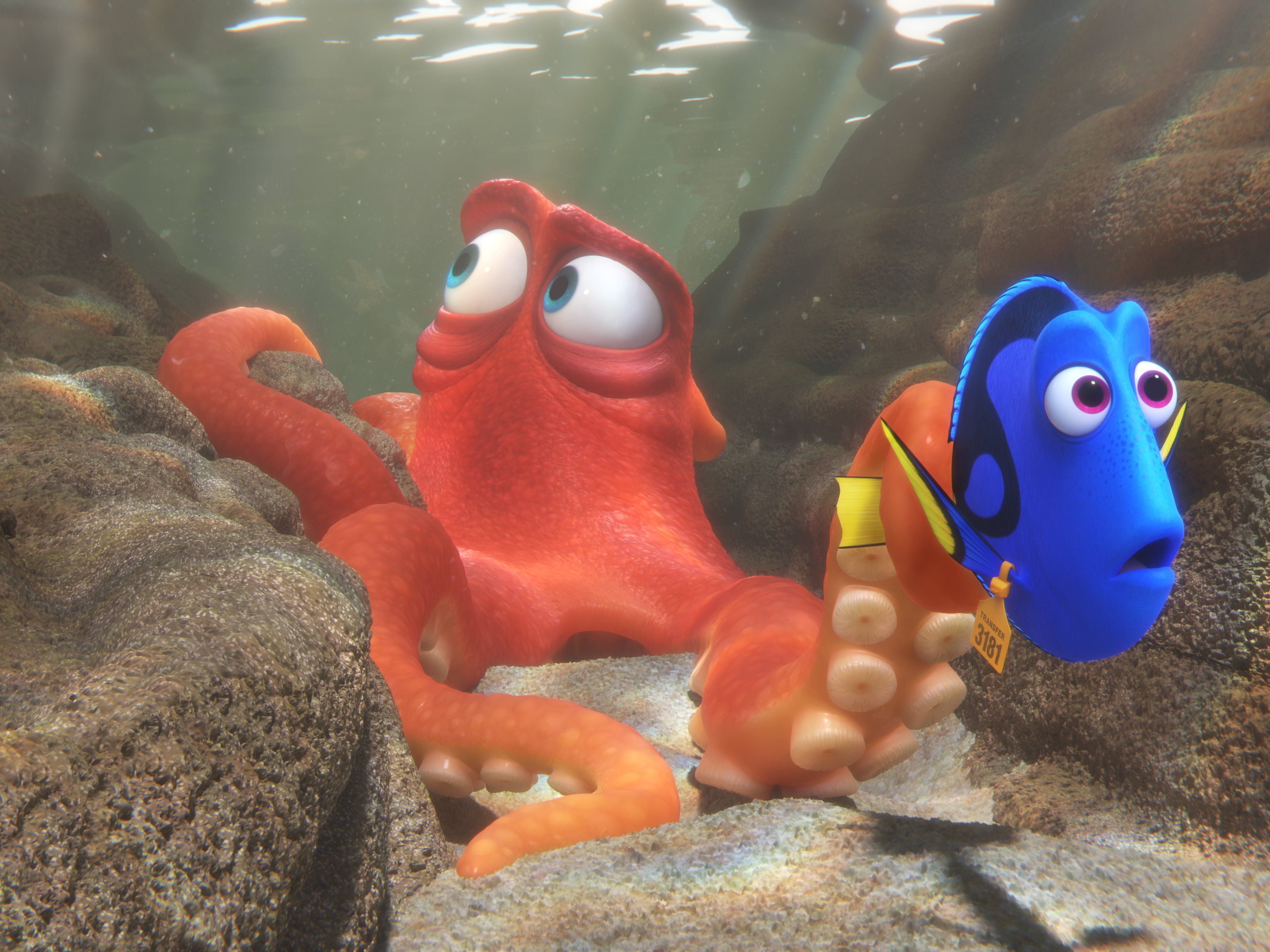 Dory sucht nach ihrer Familie