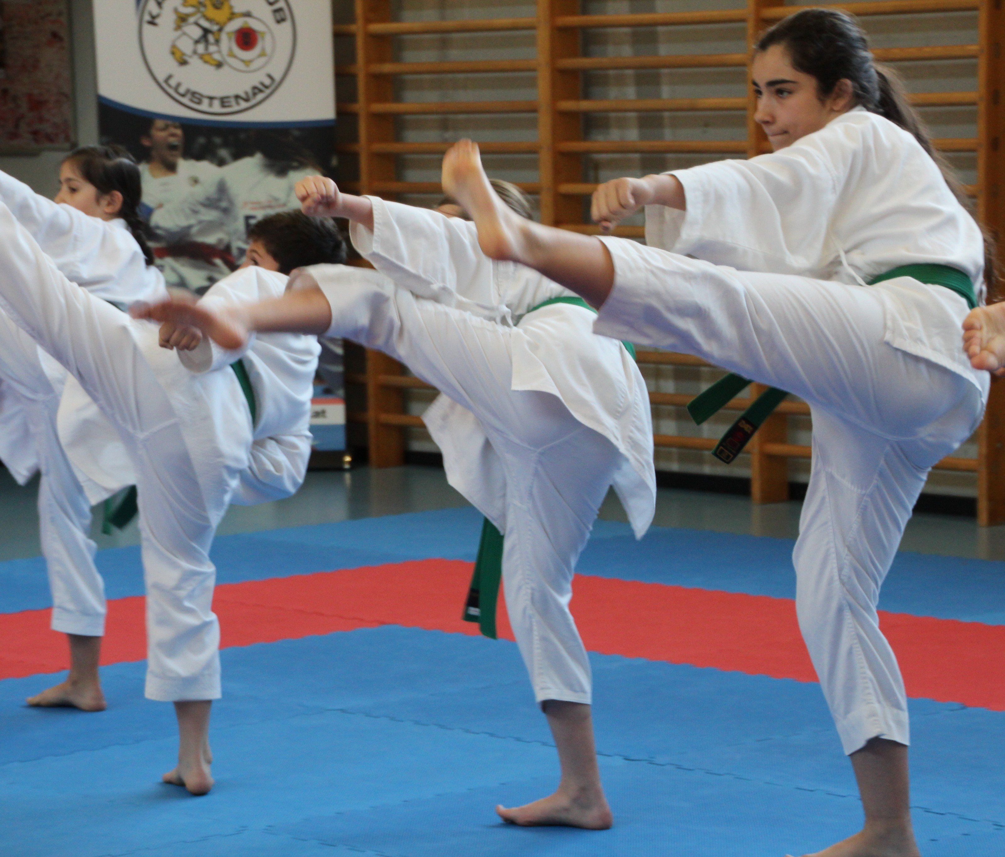 Volle Konzentration ist bei den schwierigen Arm- und Beintechniken im Karate gefordert. Volle Konzentration ist bei den schwierigen Arm- und Beintechniken im Karate gefordert.