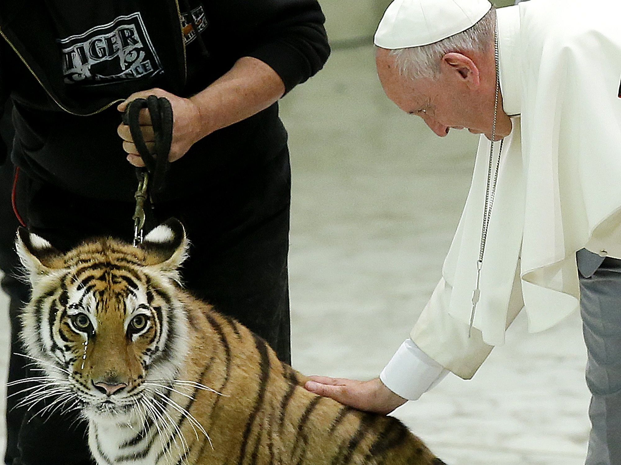 Nicht alle mögen den Papst Nicht alle mögen den Papst