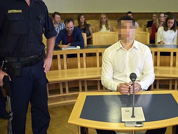 Der Angeklagte (M) beim Prozess in Wien Der Angeklagte (M) beim Prozess in Wien