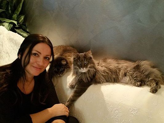 Katzen-Coach Petra Ott bei der Arbeit mit den Samtpfoten Katzen-Coach Petra Ott bei der Arbeit mit den Samtpfoten