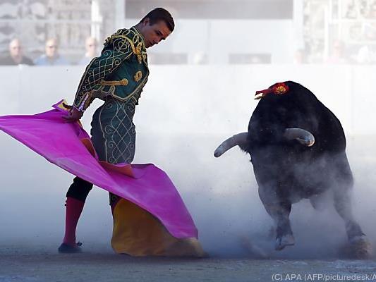 Stierkampf auch in Spanien höchst umstritten