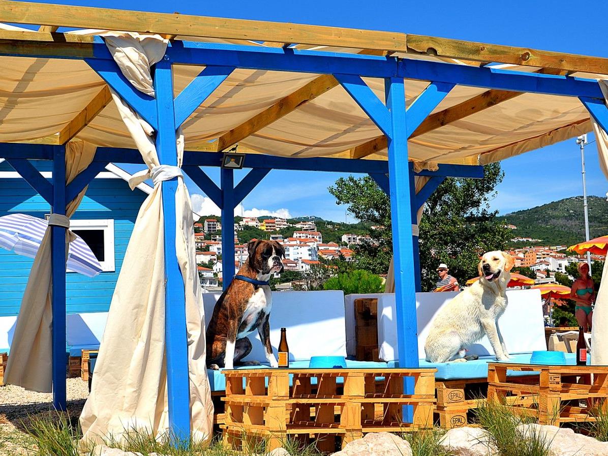 Ein Luxusstrand für Hunde in Kroatien.