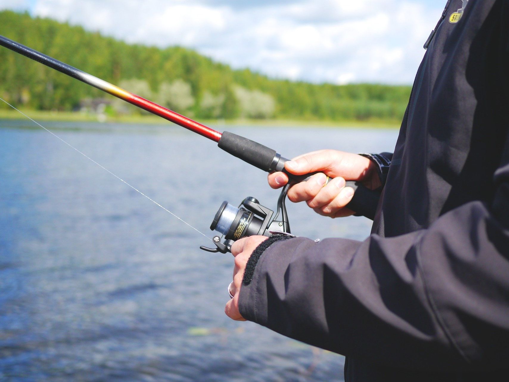 Feuerwehr befreite Angler aus Klosterneuburger Au. Feuerwehr befreite Angler aus Klosterneuburger Au.