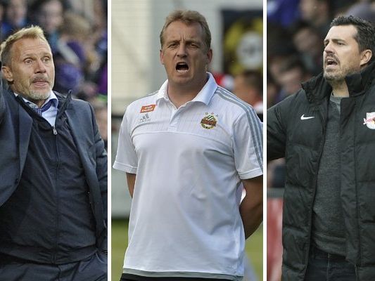 Im zweiten Teil der Trainerumfrage kommen die Coaches der Topteams der Liga zu Wort. Im zweiten Teil der Trainerumfrage kommen die Coaches der Topteams der Liga zu Wort.