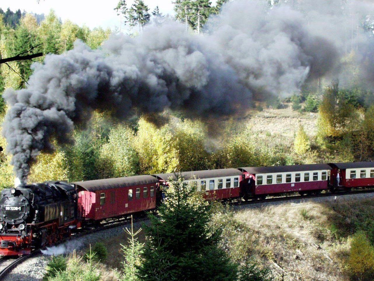 Die Schmalspurbahn ist ein beliebtes Ausflugsziel im Waldviertel.