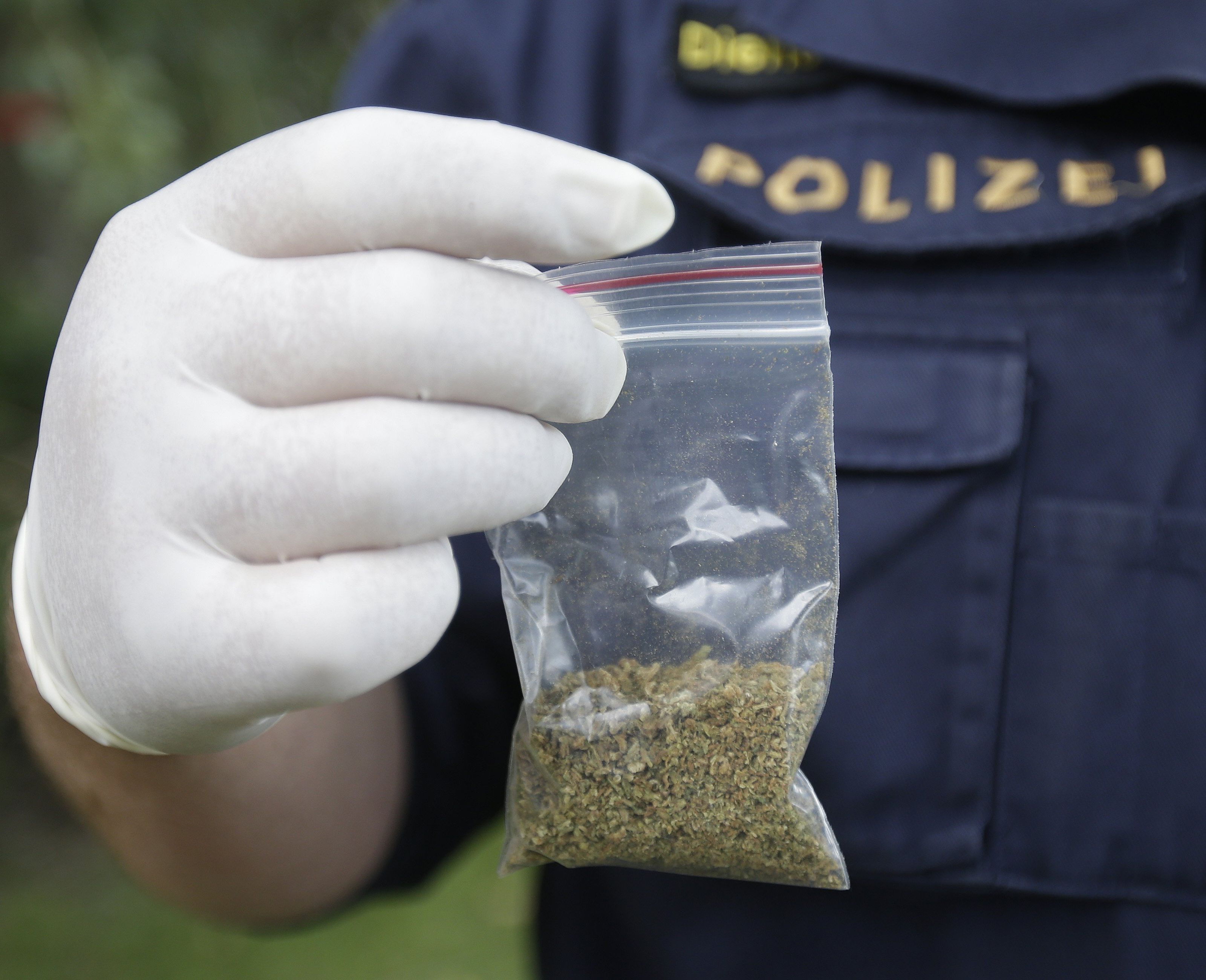 Sieben mutmaßliche Drogendealer wurden am Wochenende in Wien verhaftet. Sieben mutmaßliche Drogendealer wurden am Wochenende in Wien verhaftet.