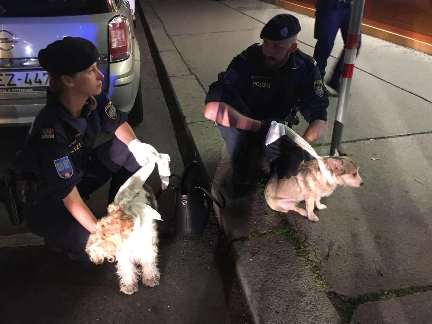 Die Polizisten fingen die beiden Hunde wieder ein