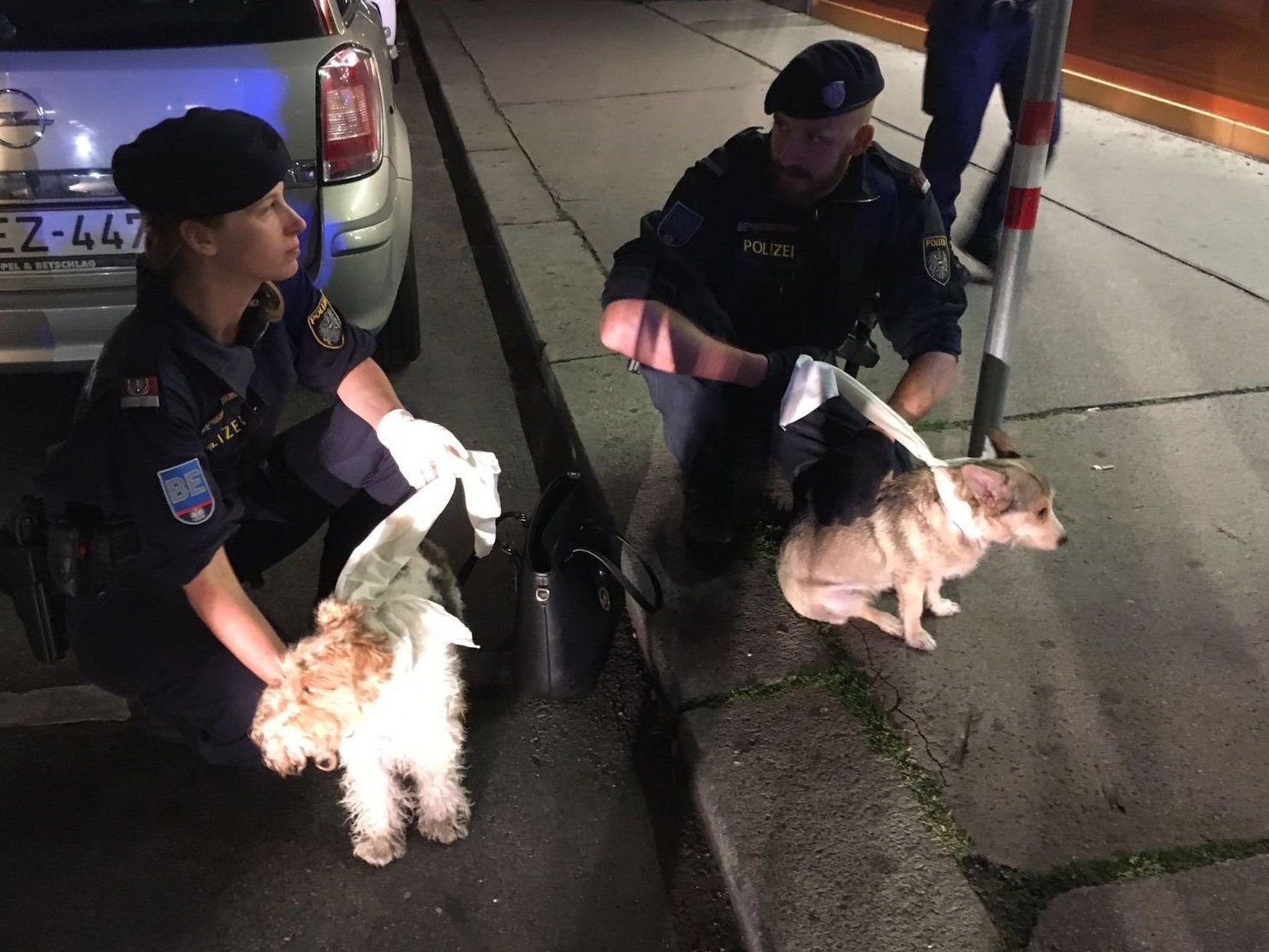 Die Polizisten fingen die beiden Hunde wieder ein Die Polizisten fingen die beiden Hunde wieder ein