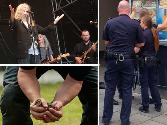 Unsere Leserreporter waren im Sommer wieder sehr umtriebig Unsere Leserreporter waren im Sommer wieder sehr umtriebig