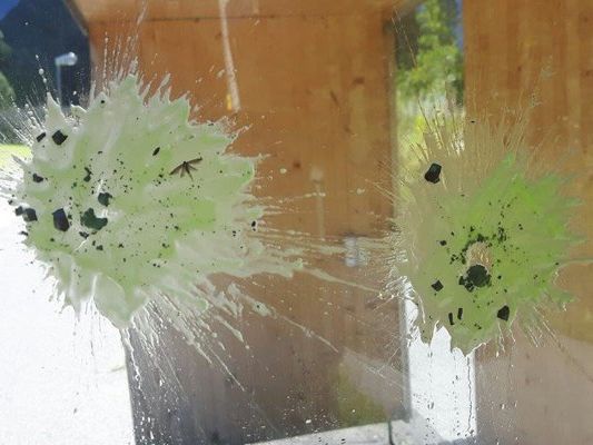 Auch Montafoner Bushaltestellen wurden Opfer der Paintball-Schüsse. Auch Montafoner Bushaltestellen wurden Opfer der Paintball-Schüsse.