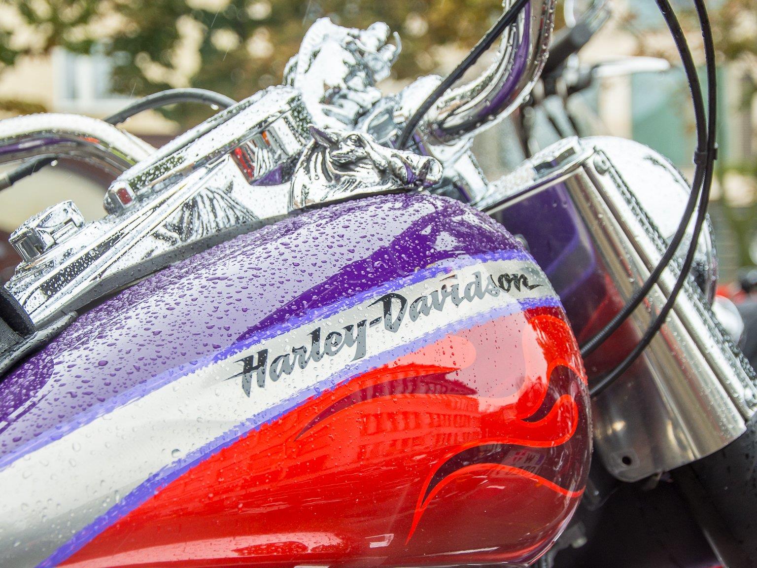 Bei der Harley Davidson Charity Tour 2016.