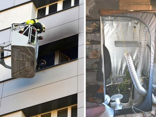 Polizei- und Feuerwehreinsatz in der Leopoldstadt. Polizei- und Feuerwehreinsatz in der Leopoldstadt.