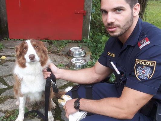 Der völlig verängstigte Hund wurde von den Polizisten liebevoll betreut.
