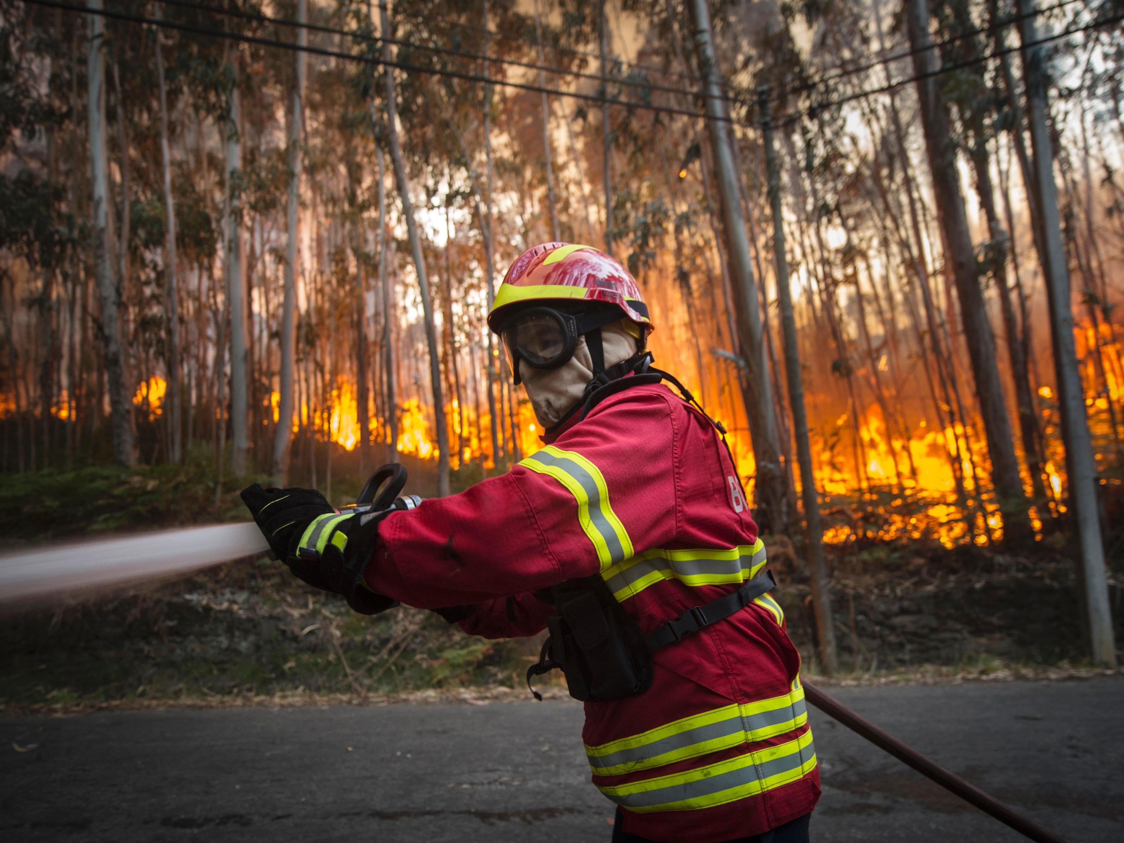 Die Feuerwehr kämpft in Portugal gegen mehr als 500 Waldbrände.