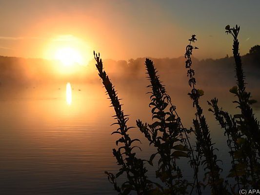 Der September zeigt sich von seiner besten Seite Der September zeigt sich von seiner besten Seite