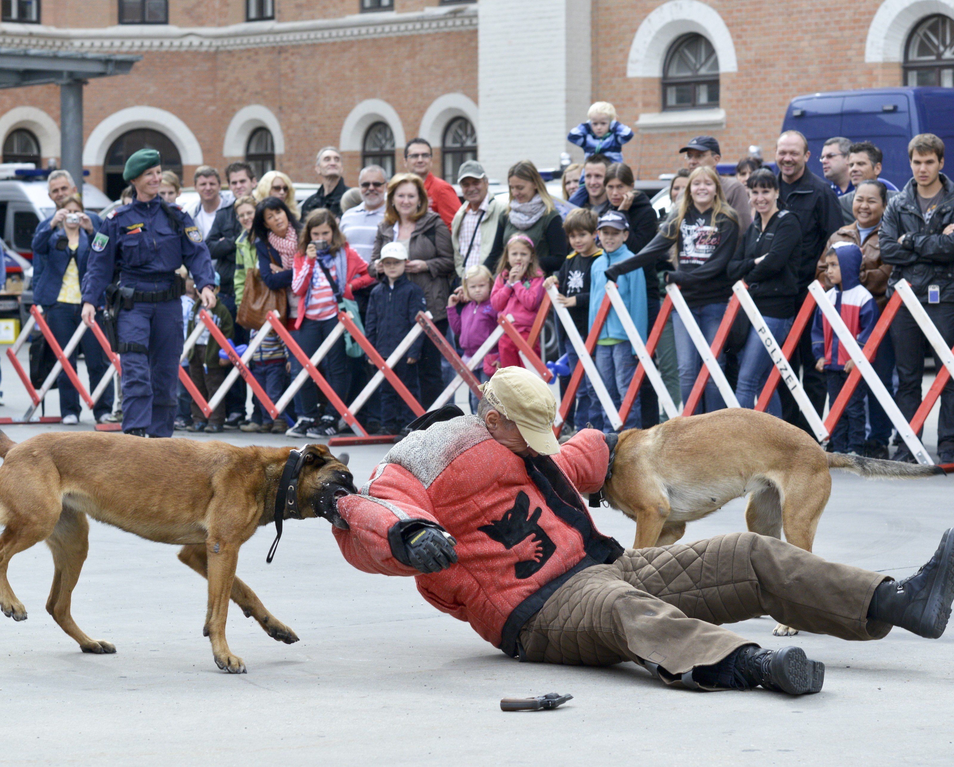 Eine Vorführung beim "Tag der Polizei" in der Rossauer Kaserne. Eine Vorführung beim "Tag der Polizei" in der Rossauer Kaserne.