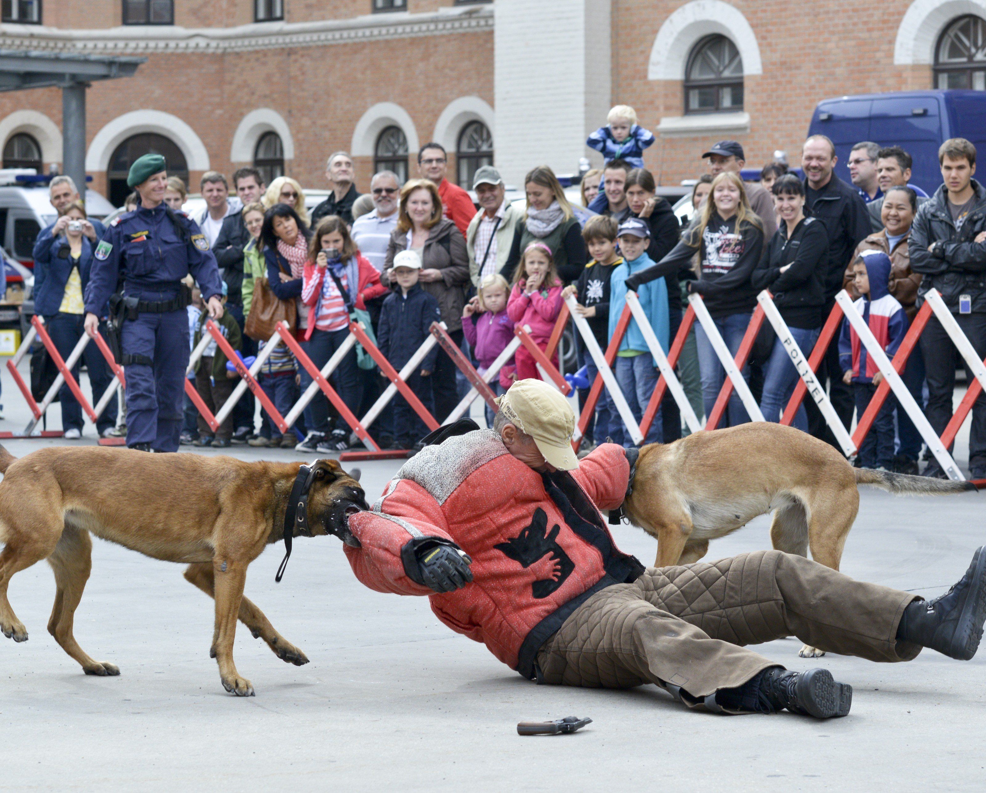 Eine Vorführung beim "Tag der Polizei" in der Rossauer Kaserne.