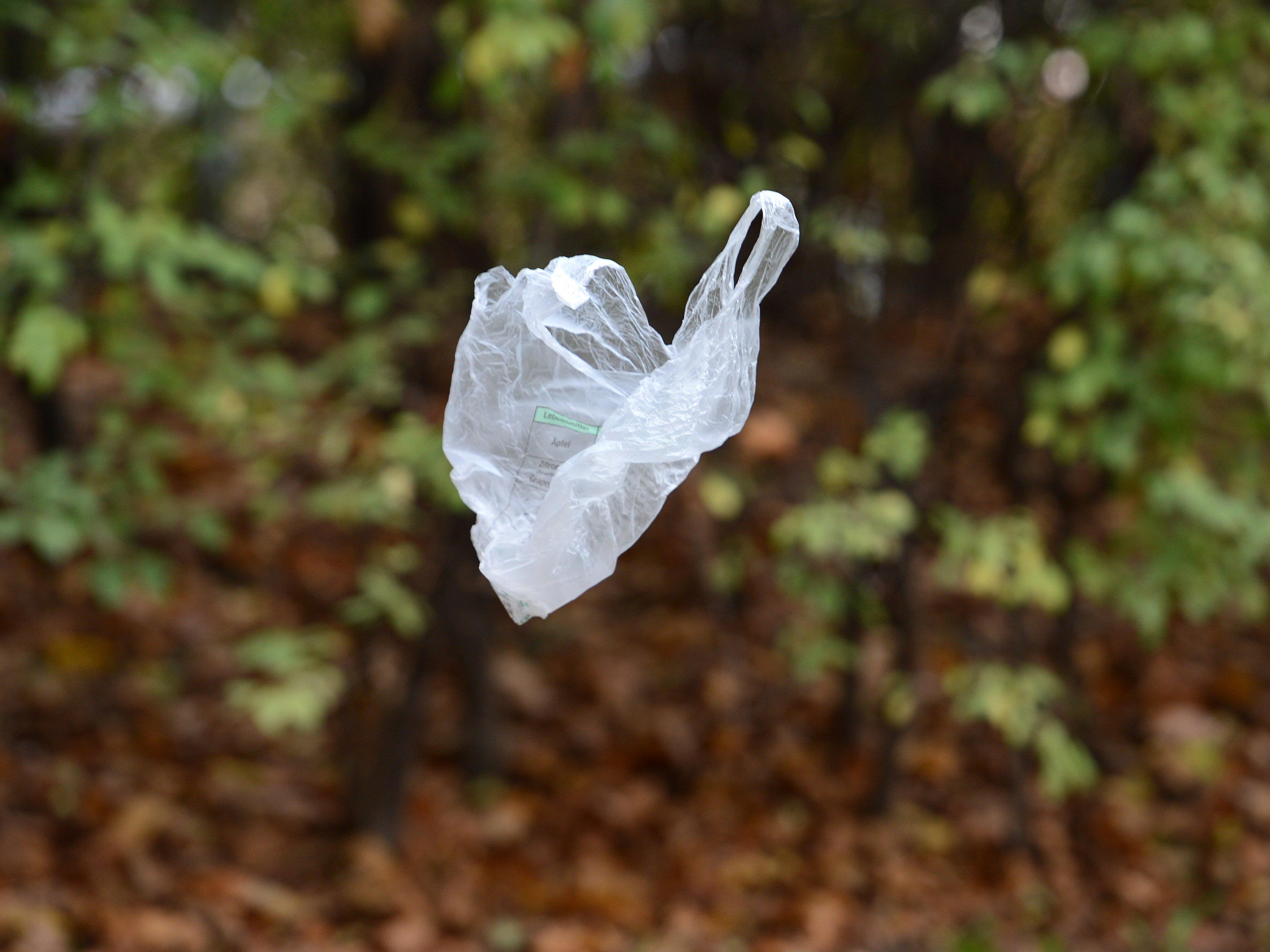 Plastiksackerl sorgen für eine große Belastung der Umwelt.