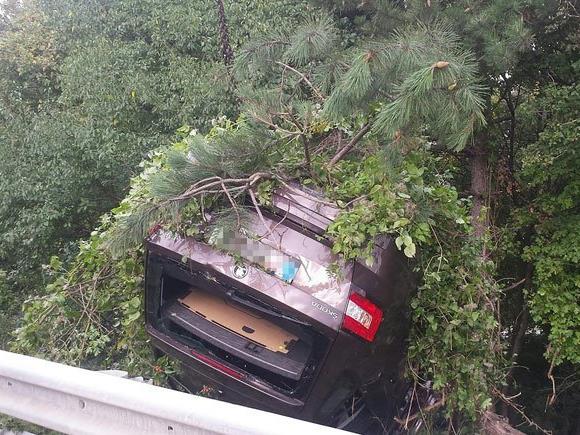 Der Wagen landete auf dem Dach in den Bäumen neben der Fahrbahn