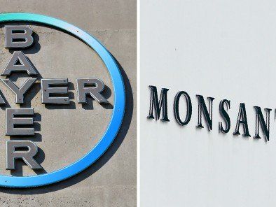 Der Pharmakonzern bayer steht laut Medienberichten kurz vor der Übernahme des Saatgutriesen Monsanto. Der bayer-Aufsichtsrat entscheidet heute darüber, ob die Angebotserhöhung mitgetragen wird. Der Pharmakonzern bayer steht laut Medienberichten kurz vor der Übernahme des Saatgutriesen Monsanto. Der bayer-Aufsichtsrat entscheidet heute darüber, ob die Angebotserhöhung mitgetragen wird.