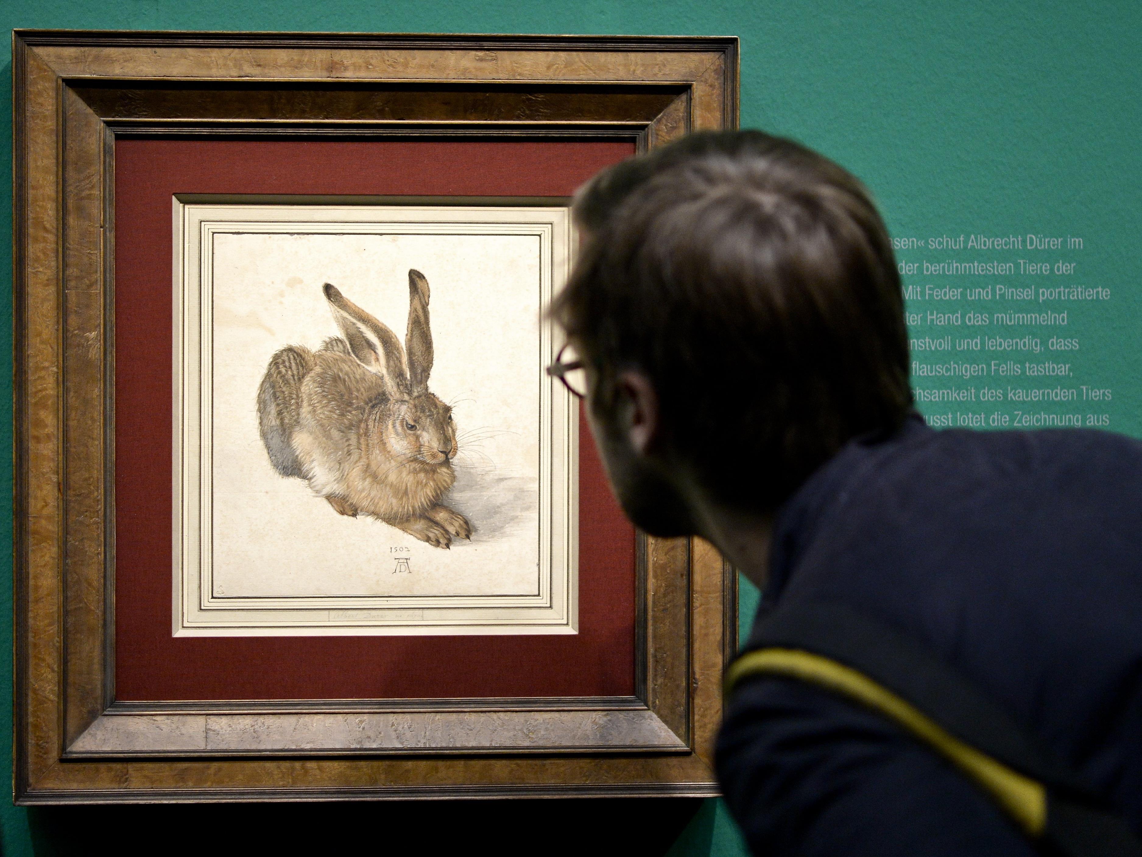 Der Feldhase von Albrecht Dürer kann am 1. Oktober betrachtet werden.