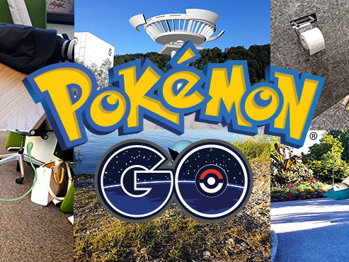 So würde die Zukunft von Pokémon Go in Vorarlberg aussehen. So würde die Zukunft von Pokémon Go in Vorarlberg aussehen.