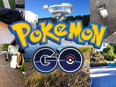 So würde die Zukunft von Pokémon Go in Vorarlberg aussehen.