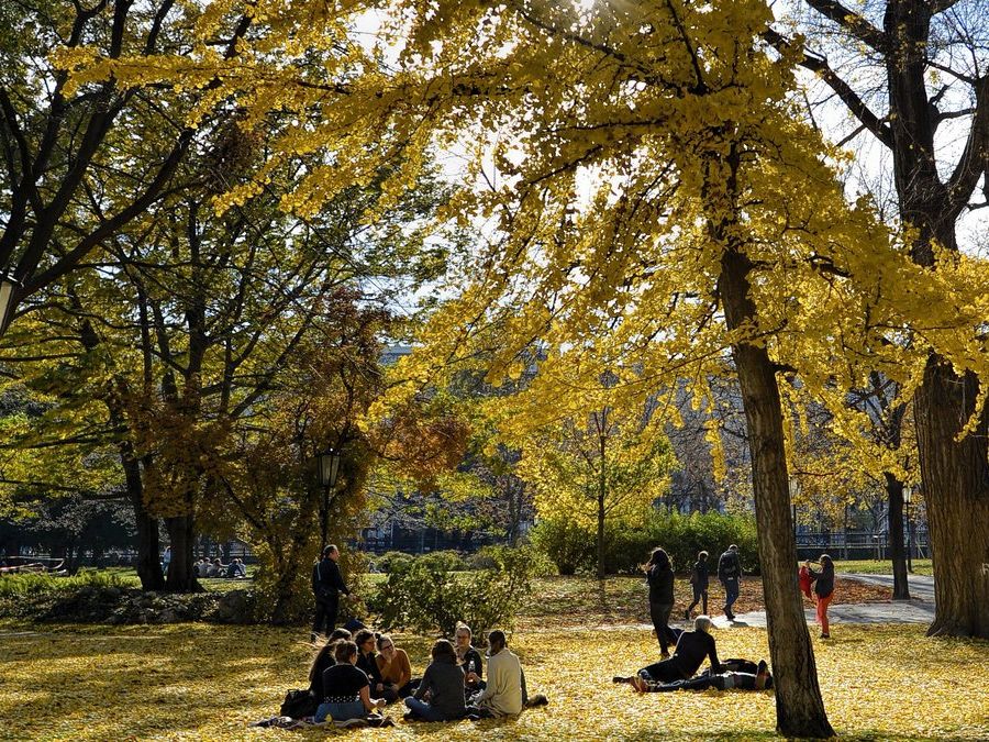 Besonders am Freitag und Samstag wird es angenehm warm. Besonders am Freitag und Samstag wird es angenehm warm.