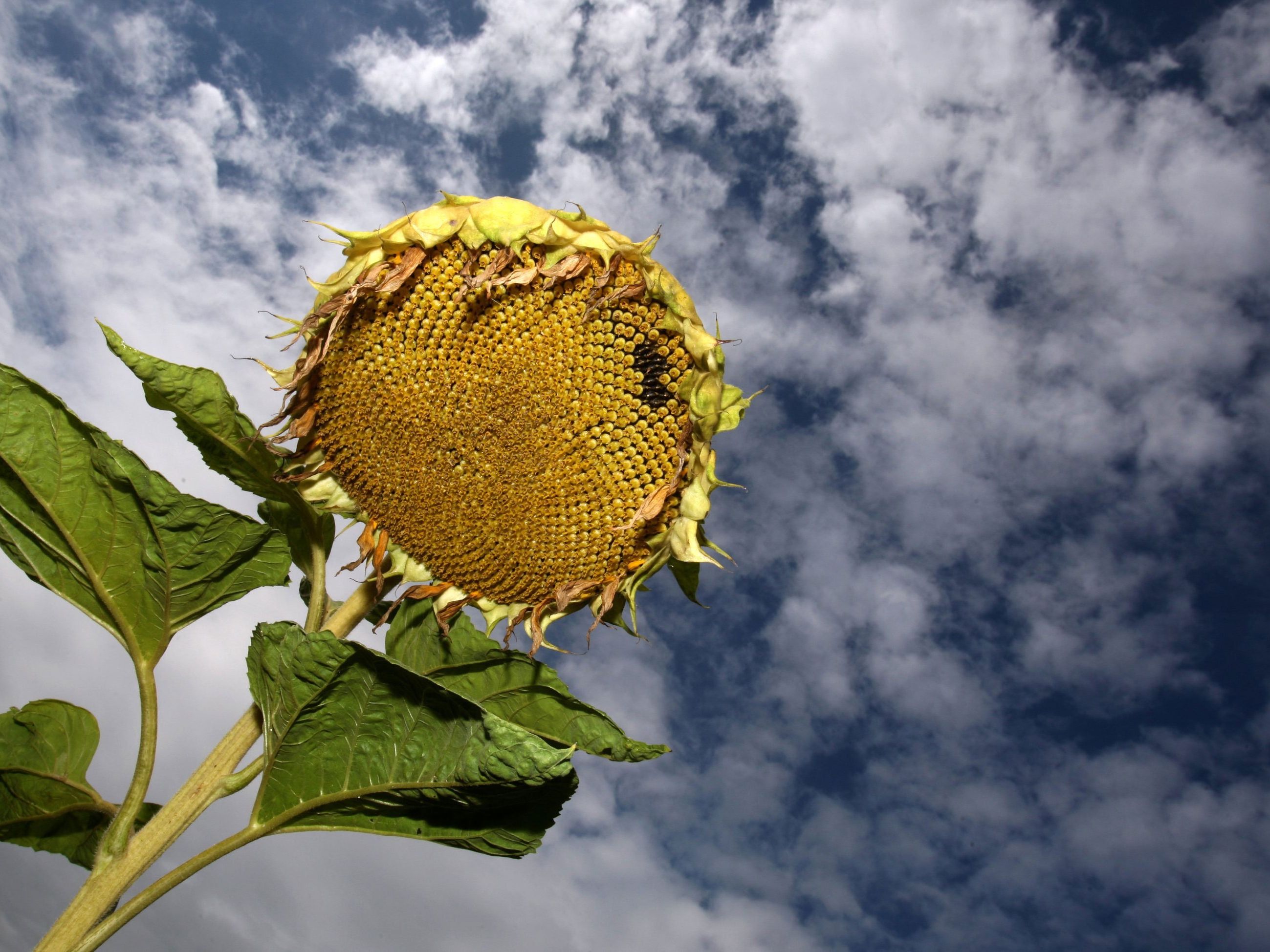 Störung beendet den Spätsommer von Westen her Störung beendet den Spätsommer von Westen her