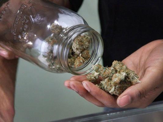 300 Gramm Cannabiskraut wurden bei dem 28-Jährigen gefunden.