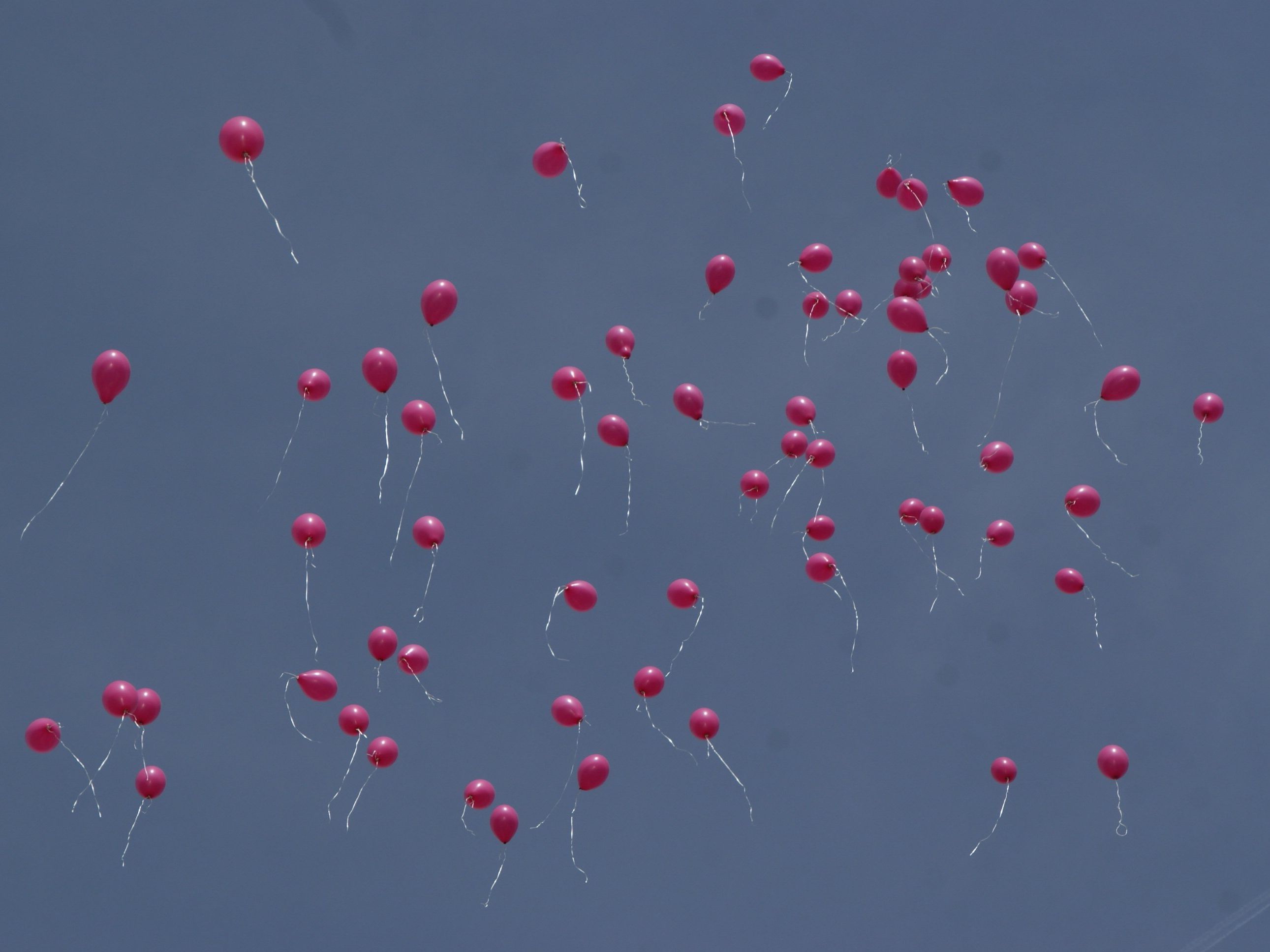 Eine stolze Summe kam für Pink Ribbon zusammen: v.li. Markus Rusch, Luzia Wieländer, Kurt Fischer Eine stolze Summe kam für Pink Ribbon zusammen: v.li. Markus Rusch, Luzia Wieländer, Kurt Fischer