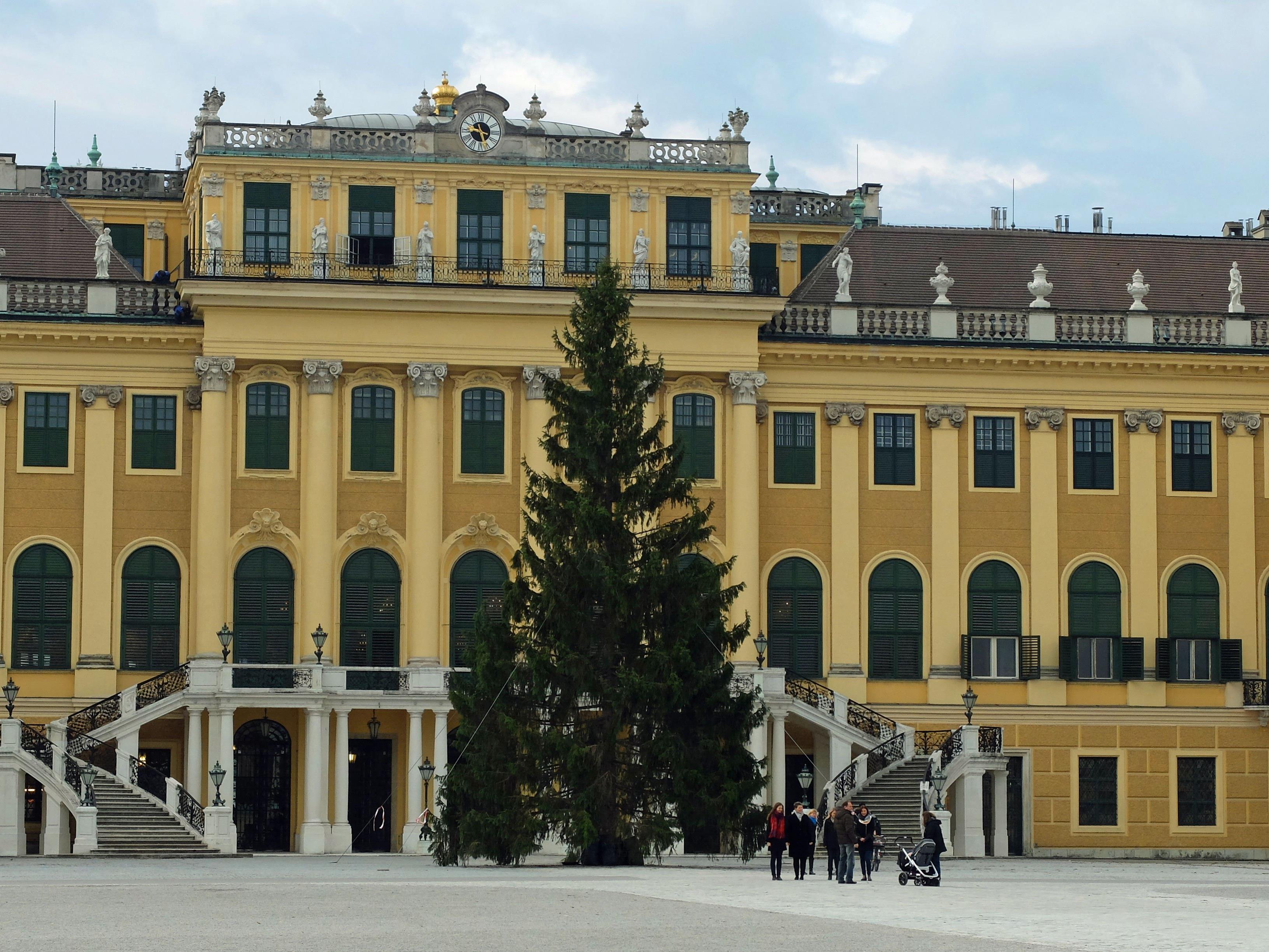 Der Christbaum für den Weihnachtsmarkt Schloss Schönbrunn ist angekommen