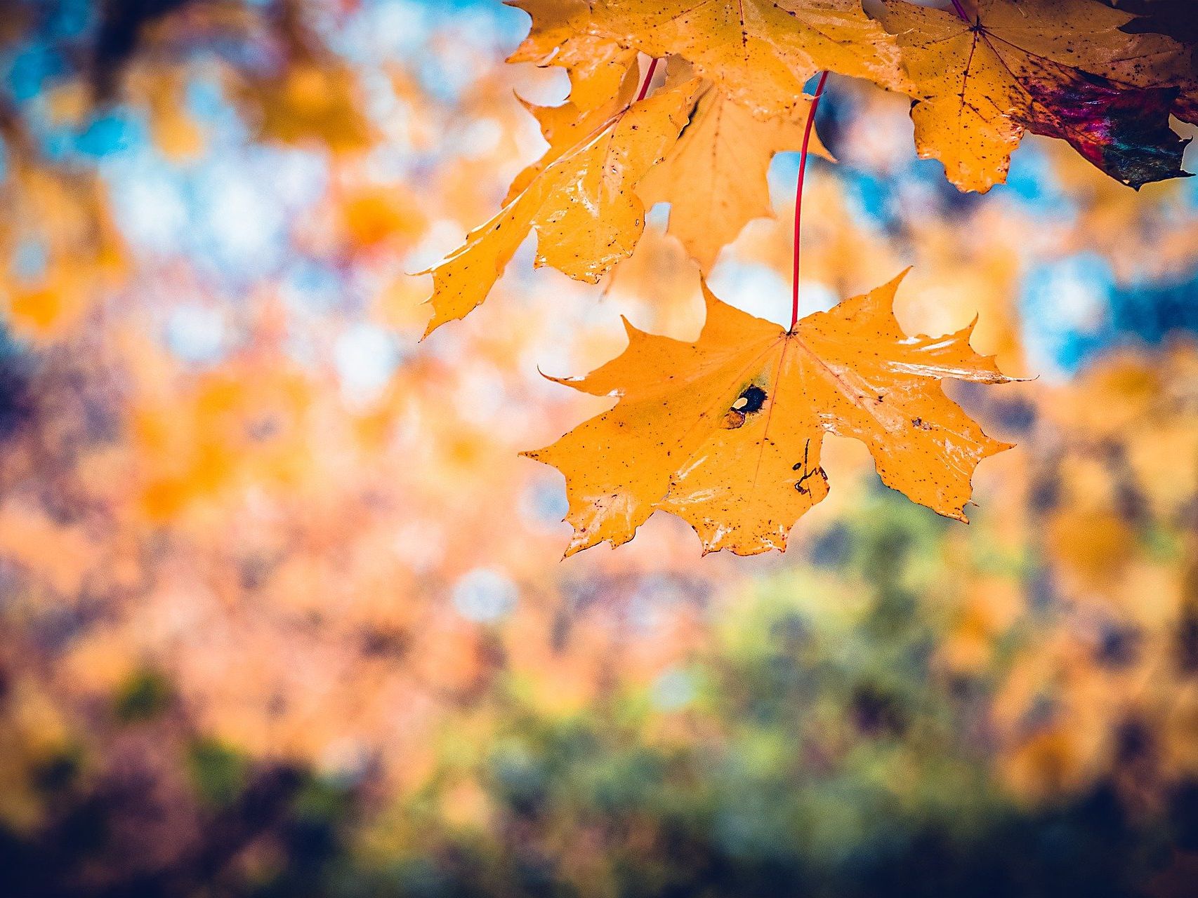 Es wird ab Mittwoch wieder wärmer Es wird ab Mittwoch wieder wärmer
