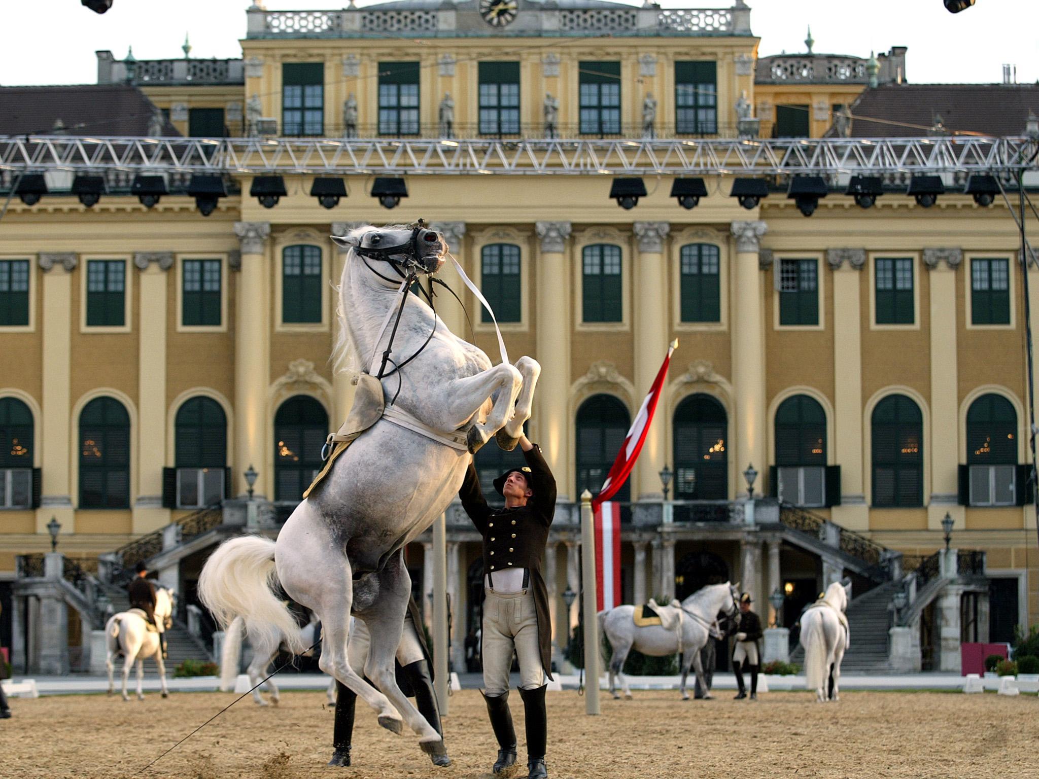 Nächtigungsrekord in Wien im Oktober 2016