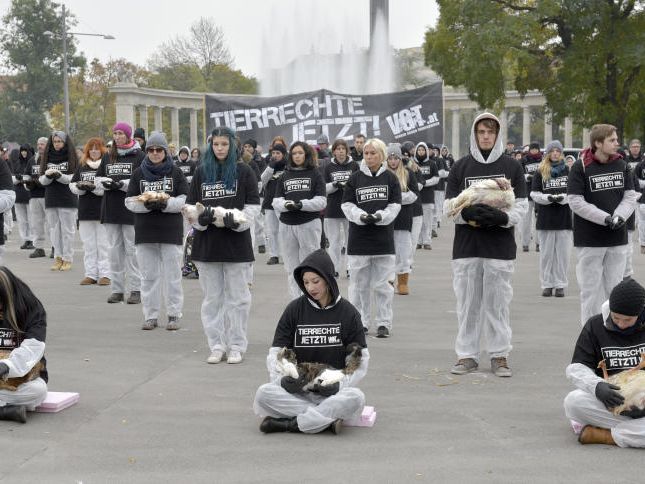 Mahnwache gegen die Industrie der Tiernutzung. Mahnwache gegen die Industrie der Tiernutzung.