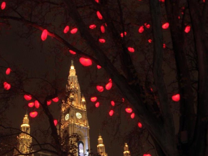 Ein Thema hält Wien derzeit in Atem wie kaum ein anderes: Der Herzerlbaum. Ein Thema hält Wien derzeit in Atem wie kaum ein anderes: Der Herzerlbaum.