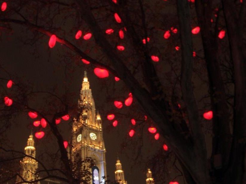 Ein Thema hält Wien derzeit in Atem wie kaum ein anderes: Der Herzerlbaum.