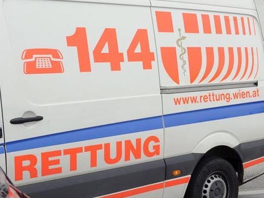 Arbeiter fiel in Wiener Hafen von Regal und wurde schwer verletzt