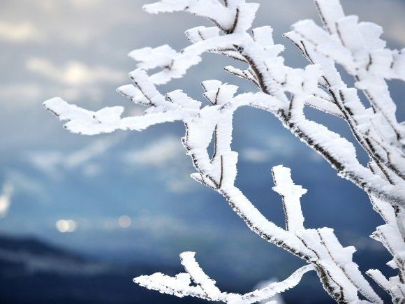 Schneefall bis in Mittelgebirgslagen ist zu erwarten Schneefall bis in Mittelgebirgslagen ist zu erwarten
