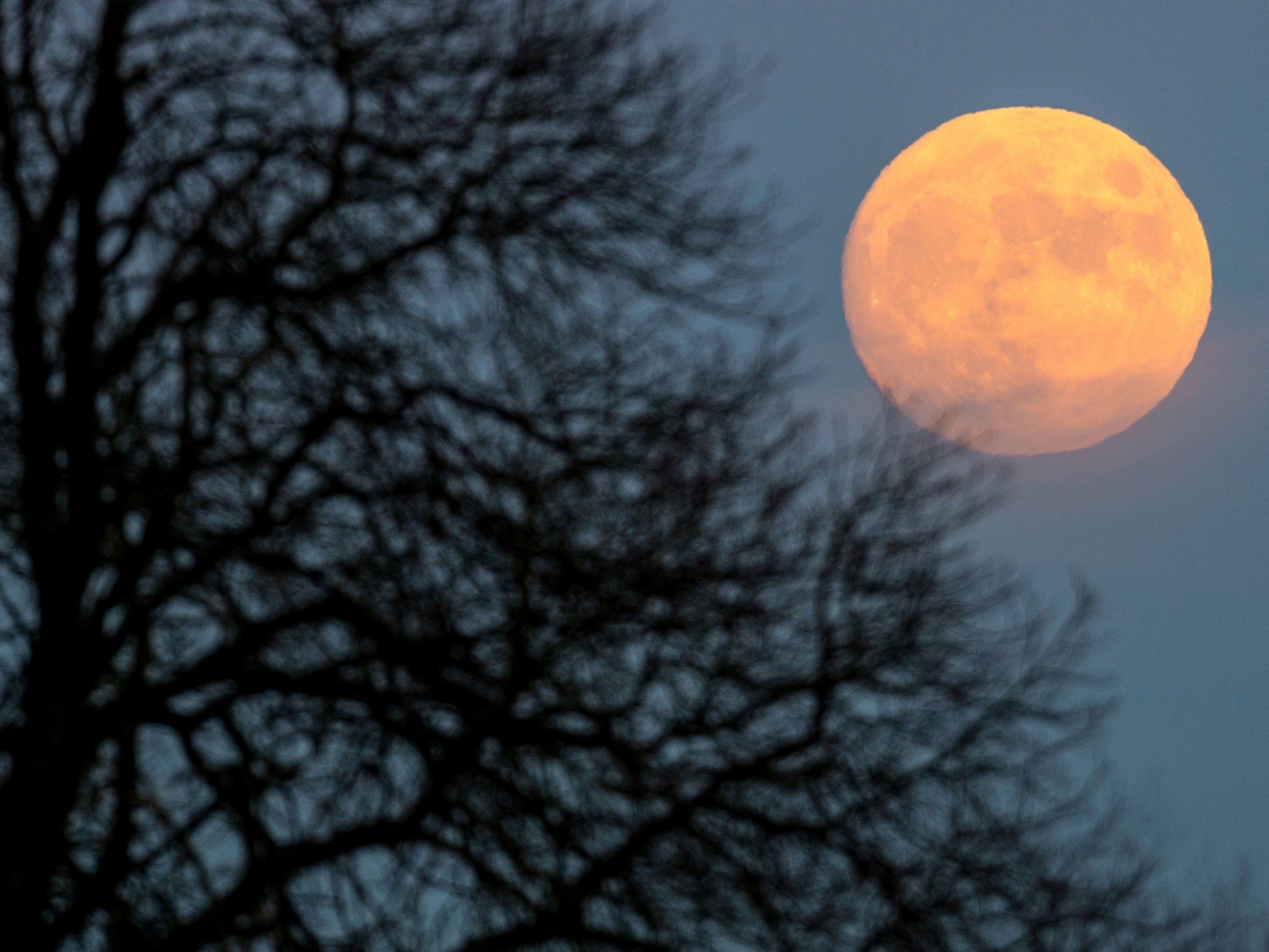 Was es mit dem Supervollmond auf sich hat, darüber informiert die WAA Was es mit dem Supervollmond auf sich hat, darüber informiert die WAA