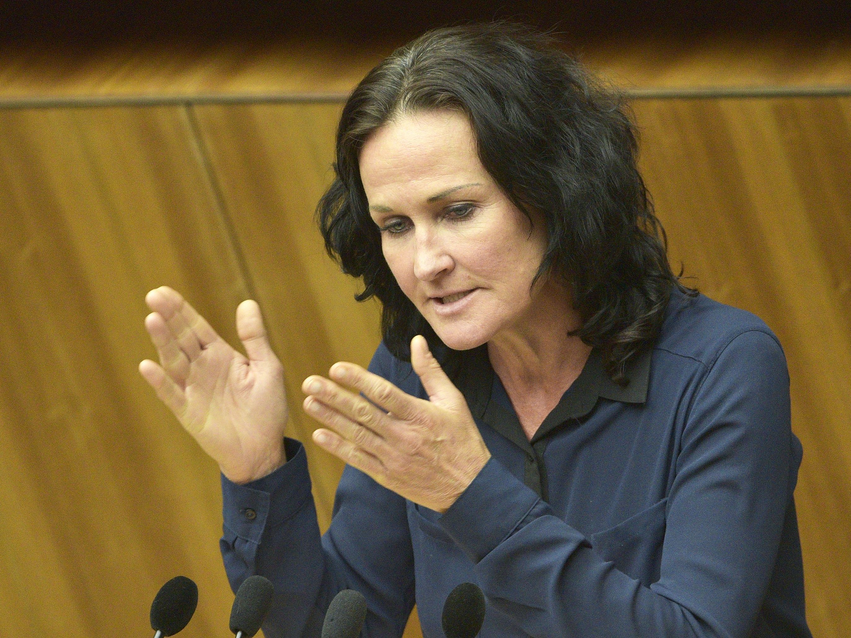 Pilz spendete am 23. August 1.000 Euro - Glawischnig gesteht "Lapsus" ein. Pilz spendete am 23. August 1.000 Euro - Glawischnig gesteht "Lapsus" ein.